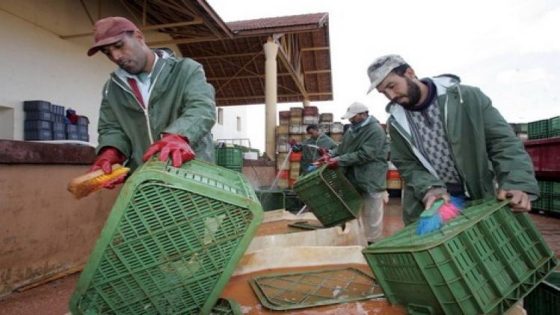 هكذا سيتم التعويض عن فقدان الشغل بسبب جائحة “كورونا”