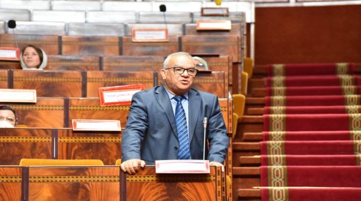 مضيان يستدعي وزير الشباب والرياضة للبرلمان بسبب النتائج المخيبة للبعثة الأولمبية المغربية بطوكيو