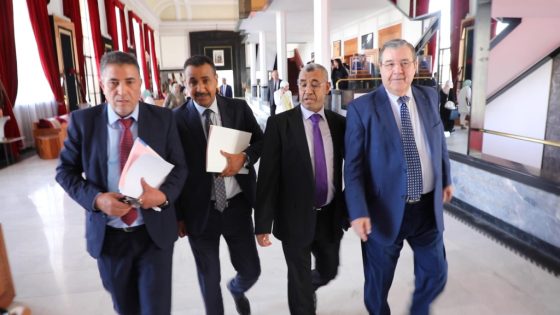 كرونيك: لنجعلها .. برلمان بدون معارضة