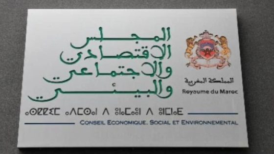 المجلس الاقتصادي والاجتماعي والبيئي يعقد دورته 161