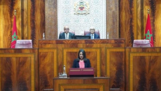 نادية فتاح: مشروع قانون المالية 2025 يراهن على مواصلة تعزيز أسس الدولة الاجتماعية