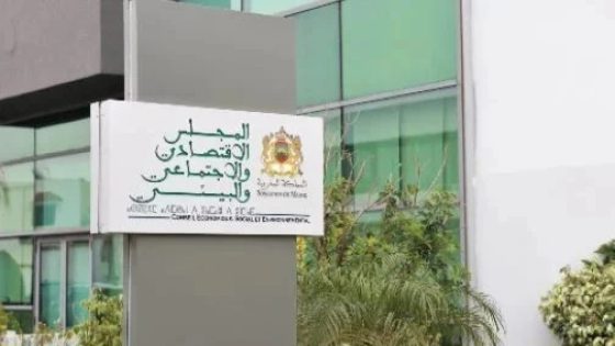 المجلس الاقتصادي والاجتماعي والبيئي يوصي بالتوجه نحو نظام إجباري موحد بين مختلف أنظمة التأمين عن المرض